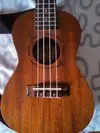 Flight NUC-310 Ukulele [November 3, 2017, 6:08 pm]