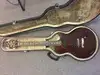 Vantage LP Electric guitar [November 5, 2017, 1:45 pm]