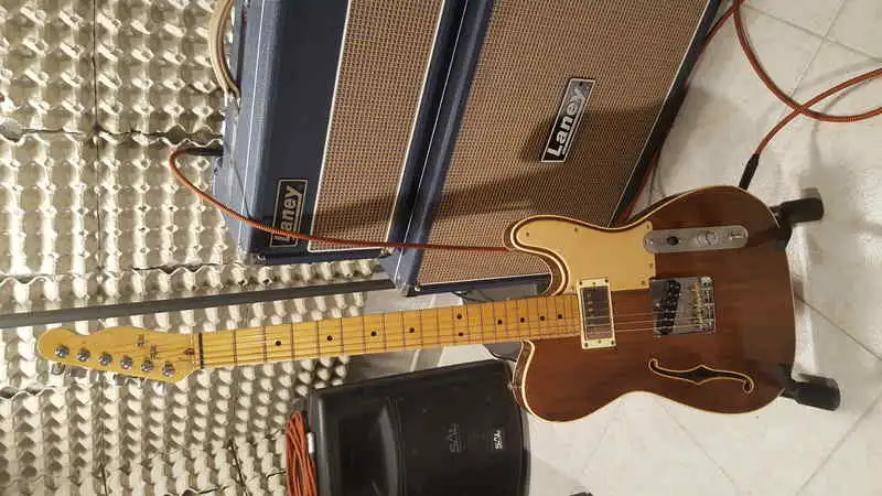 Warmoth Thinline Telecaster Electric guitar