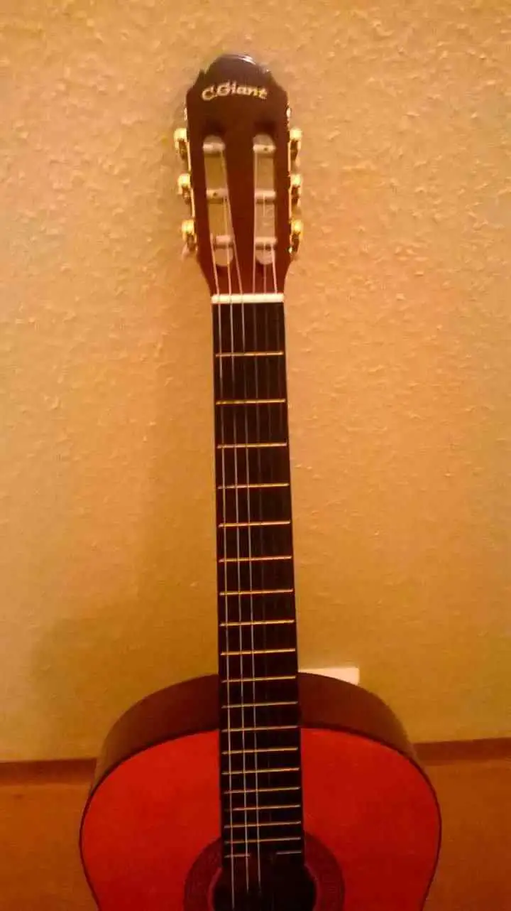   Classic guitar