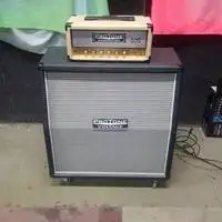 ProTone Vintage Caja de guitarra [November 15, 2018, 9:38 pm]