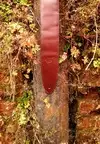 Tuba Dávid Leather Rust Heveder [2018.02.22. 13:32]