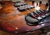 Traben Chaos Core Whisky Burl Bass guitar [February 6, 2018, 11:16 am]