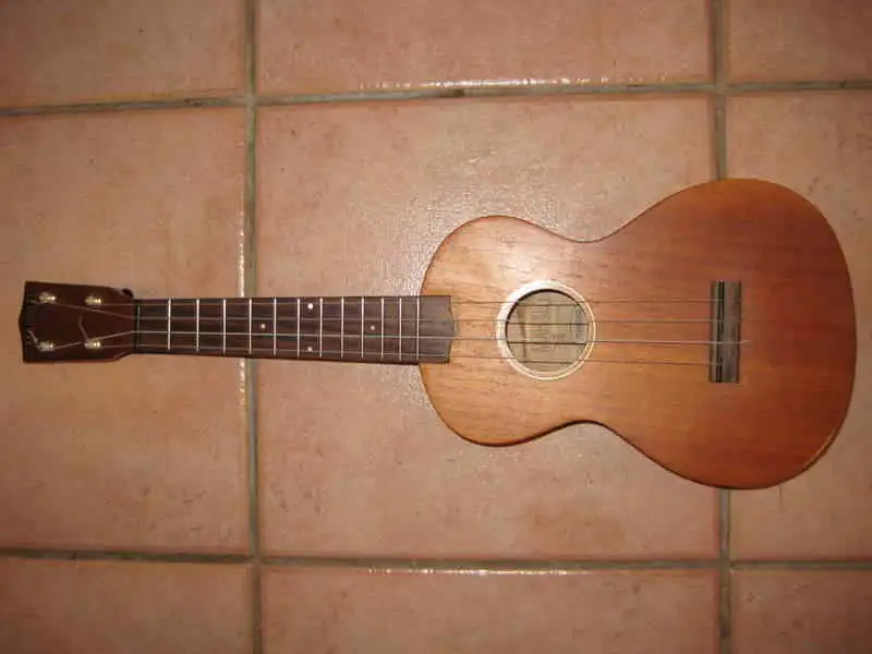  Concert Ukulele
