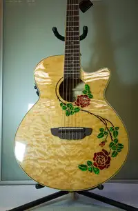 Luna Flora Rose Quilted Elektro-Akkustik Guitarre [September 8, 2020, 12:16 pm]