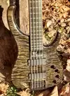 Modulus Qantum 5 Bass Gitarre [April 24, 2018, 9:16 am]