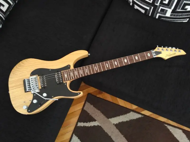 J&D JD-80SA E-Gitarre