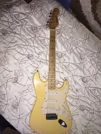 Richwood  Electric guitar [June 10, 2018, 7:51 pm]