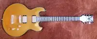 DBZ Imperial Gold Electric guitar [June 14, 2018, 2:36 pm]