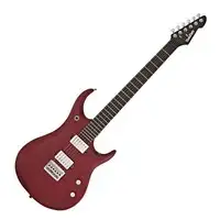 SubZero Generation Electric guitar [April 12, 2021, 5:50 pm]