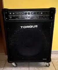 Torque T100-K Combo de guitarra [August 30, 2018, 7:01 pm]