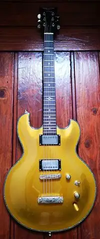 DBZ Imperial Gold top Electric guitar [August 27, 2018, 12:06 pm]