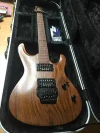 Mayones Setius lizard Guitarra eléctrica [September 28, 2018, 7:54 pm]