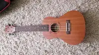 Flight NUC 310 Ukulele [October 6, 2018, 12:09 pm]