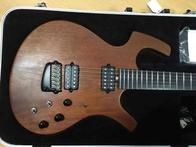 Parker NiteFly Mahogany HH E-Gitarre