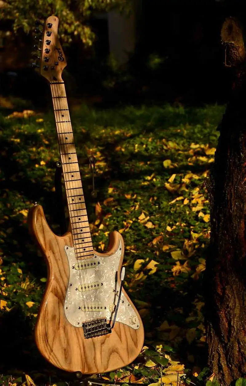 Cort G215-NAT Stratocaster Electric guitar