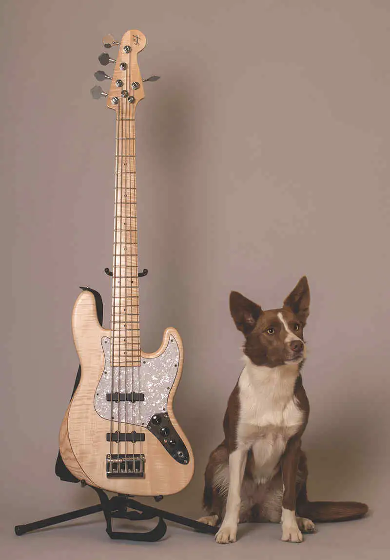  Jazz Bass V Bass guitar 5 strings