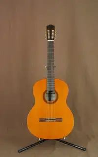 Cordoba C5 Akustická gitara [November 24, 2018, 12:24 pm]