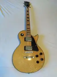 Hondo II Les Paul Electric guitar [November 22, 2018, 10:28 am]