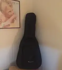 Special Design Case  Guitar case [December 8, 2018, 2:09 pm]