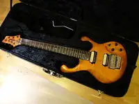 Fibenare Erotic Unique 7 CSERE IS Electric guitar 7 strings [November 23, 2018, 10:53 am]