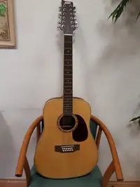 Ashton DM2512NT Akustická gitara 12 strún [November 25, 2018, 4:48 pm]