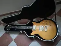 Jay Turser JT-200PRO Guitarra eléctrica [December 10, 2018, 7:20 pm]