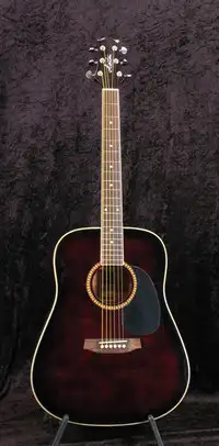 Ashton SPD25 Akustická gitara [February 9, 2019, 4:48 pm]