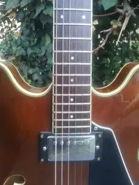 ST Blues Sebring 335 Jazz guitar [December 15, 2018, 9:59 pm]