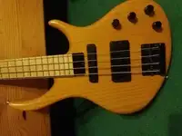 Tobias Renegade Bass Gitarre [February 6, 2019, 7:31 pm]