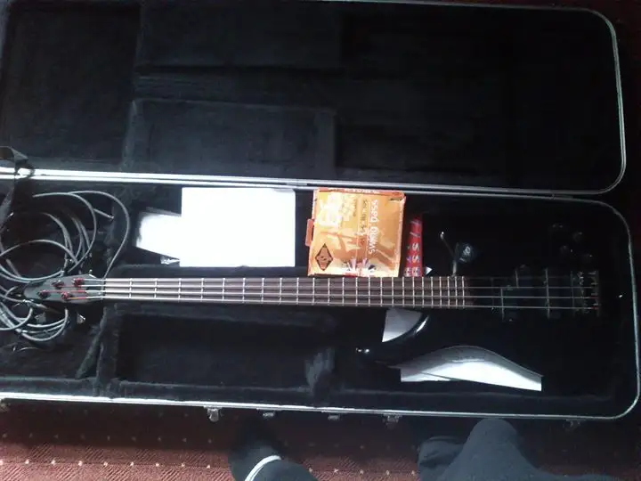  Sb 310 Bass guitar