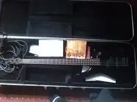 Bass collection Sb 310 Bass guitar [July 16, 2019, 9:39 am]