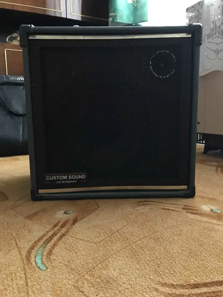 Custom made  Guitar combo amp