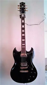 Jay Turser JT-50 Custom Guitarra eléctrica [December 28, 2018, 4:26 pm]