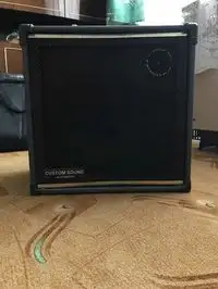 Custom made  Guitar combo amp [December 29, 2018, 7:34 pm]