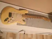 Richwood Strat Electric guitar [December 30, 2018, 2:47 pm]