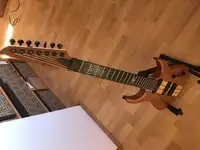 Agile Septor Elite 727 Elektrická gitara 7 strún [January 5, 2019, 8:31 pm]