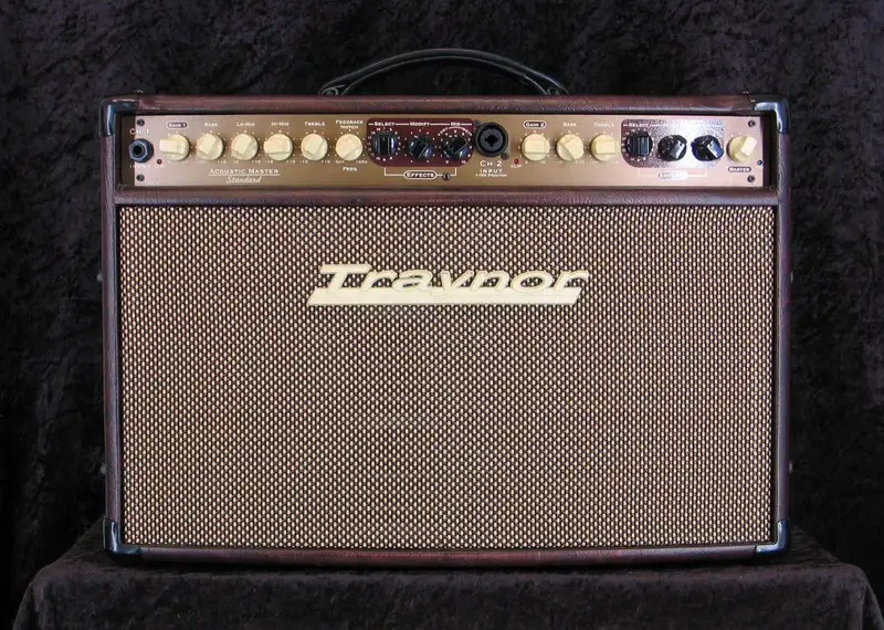 Traynor Acoustic Master Std. Gitarrecombo