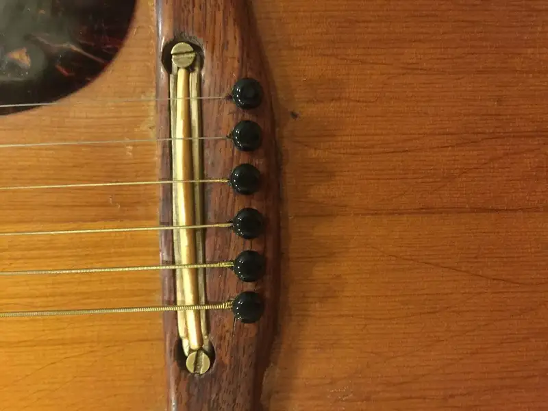  V66 Acoustic guitar