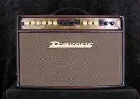 Traynor Acoustic Master Std. Gitarrecombo [October 12, 2019, 3:34 pm]