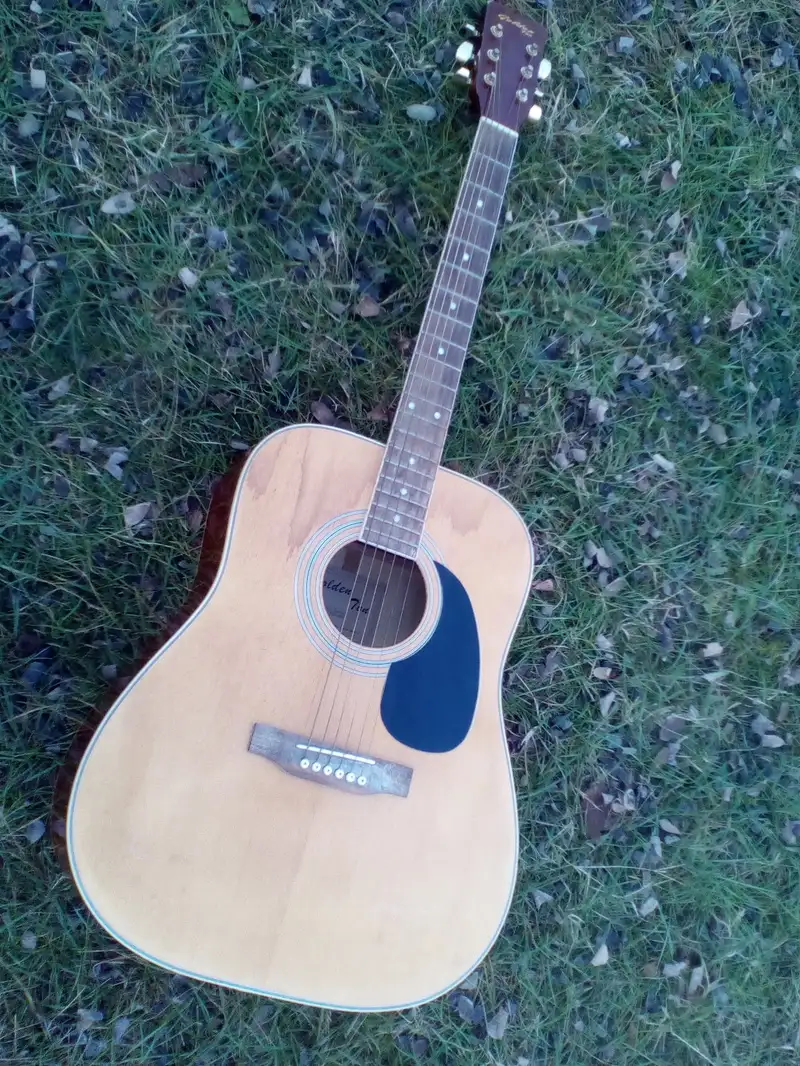  Klasická gitara