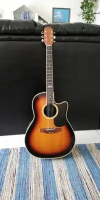 Applause  Electro-acoustic guitar [January 27, 2019, 11:06 am]