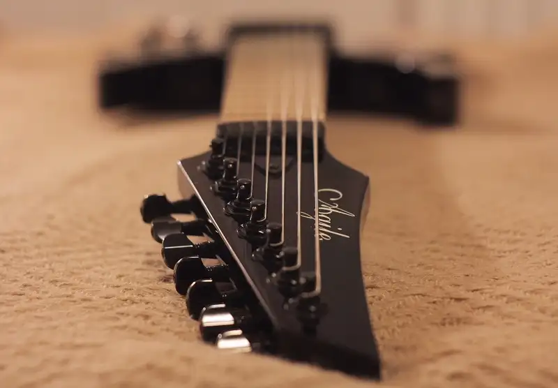 Agile Septor 727 Elektrická gitara 7 strún