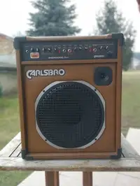 Calsbro Sherwood Junior Amplificador de guitarra acústica [April 1, 2019, 4:26 am]