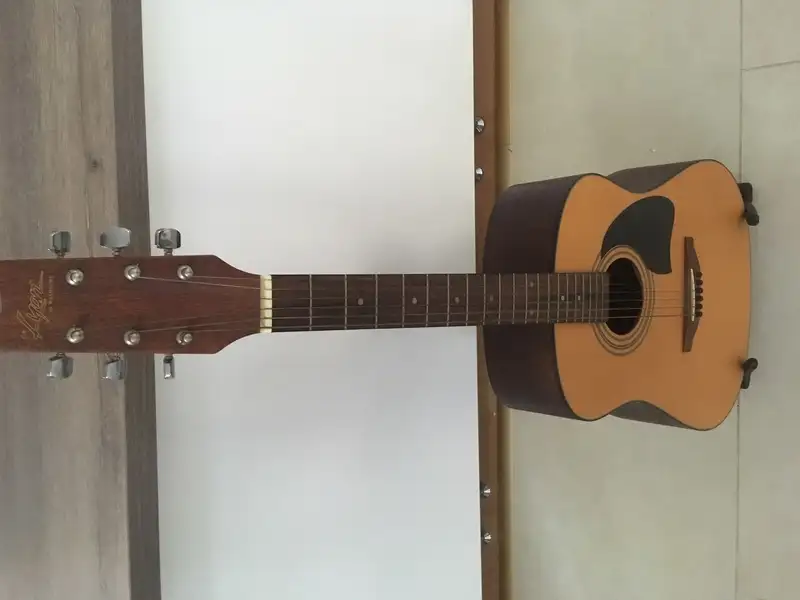 Lyon by Washburn LD-9 Akustická gitara