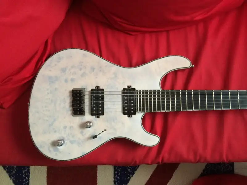 Mayones Regius 7 Elektrická gitara 7 strún