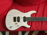 Mayones Regius 7 Electric guitar 7 strings [April 10, 2019, 12:39 am]