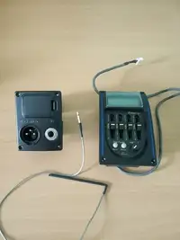 Belcat  Electrónica de guitarra acústica [March 27, 2019, 3:51 pm]