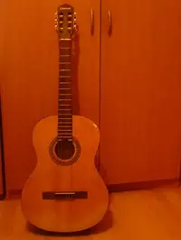 Giannini GCX 15-N Acoustic guitar [April 4, 2019, 11:04 pm]