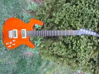 Parker P44 Elektrická gitara [May 9, 2019, 10:00 am]